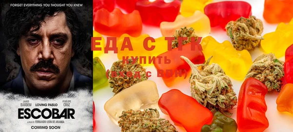 мдпв Горняк