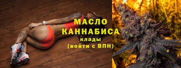 мдпв Горняк